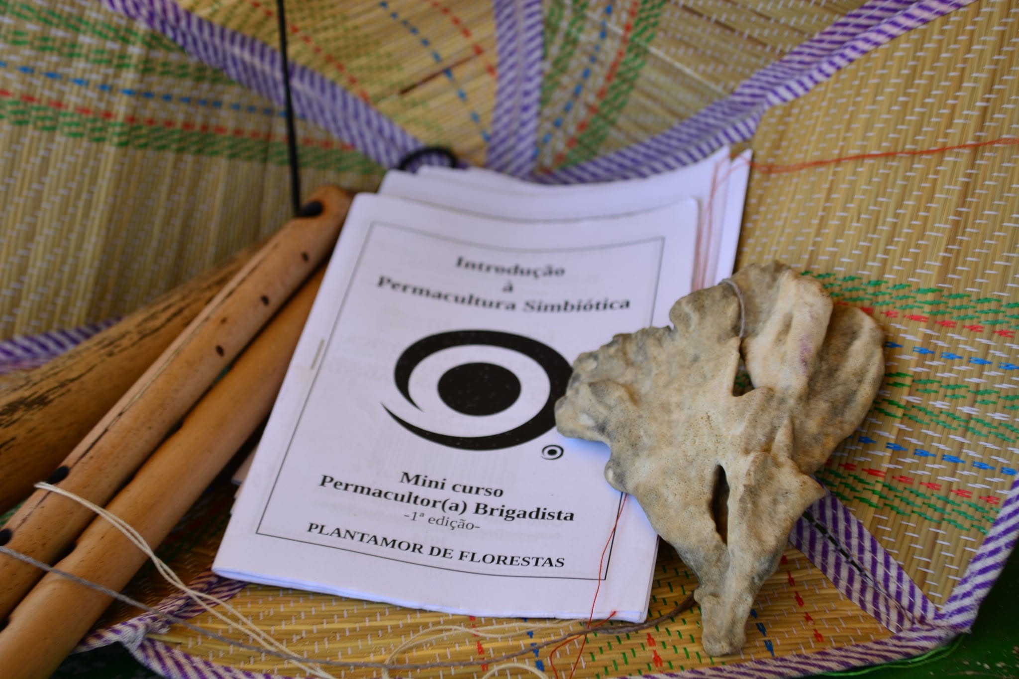 Registro arqueológico 07
