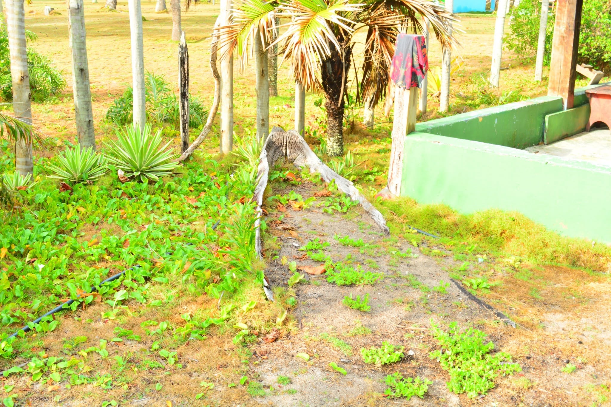 Paisagem da pesquisa arqueológica
