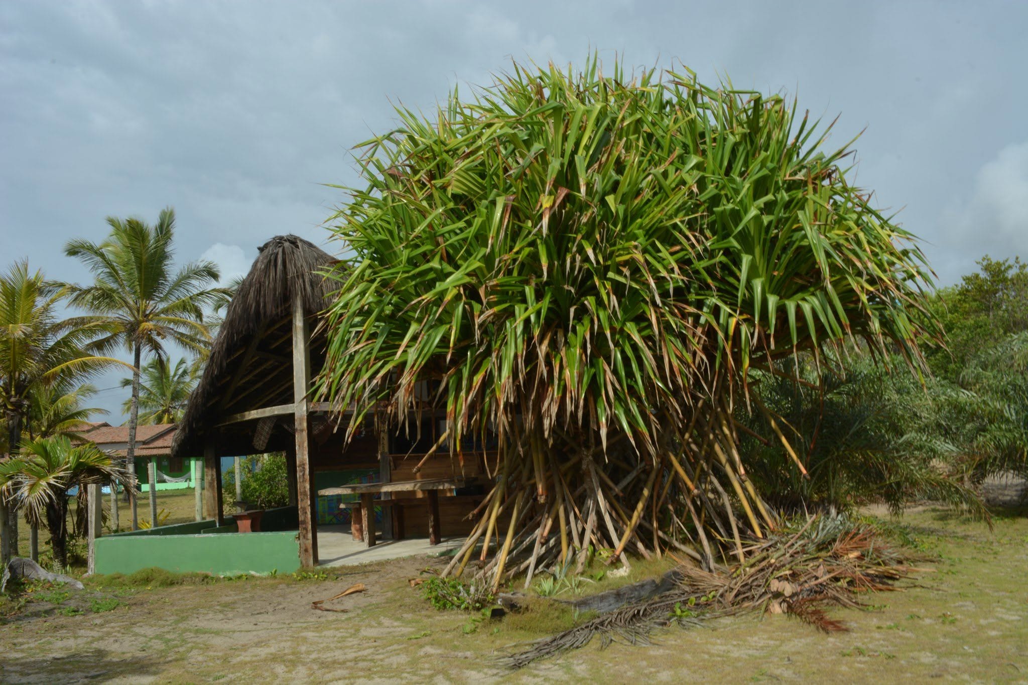 Paisagem da pesquisa arqueológica