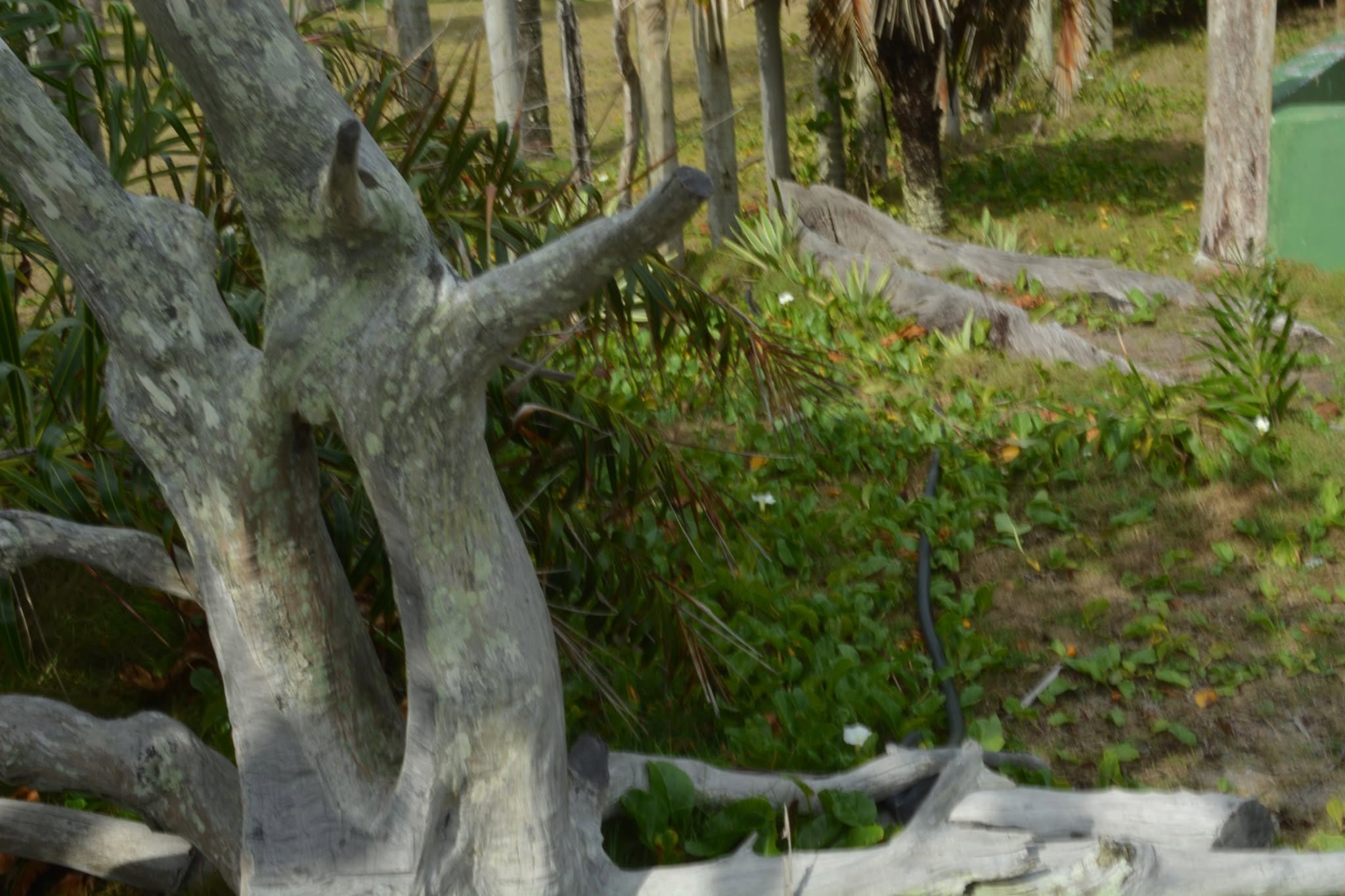 Paisagem da pesquisa arqueológica