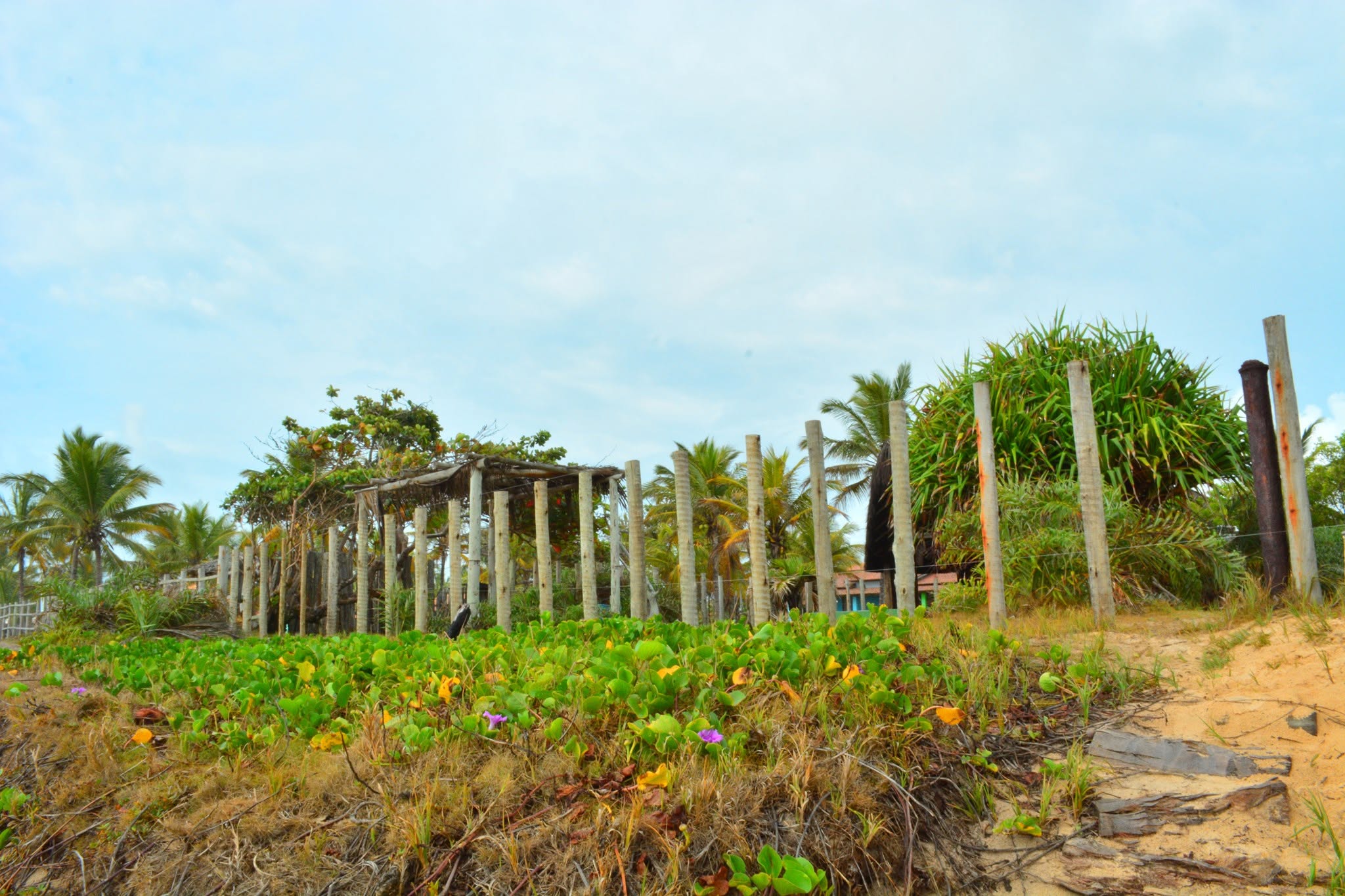 Paisagem da pesquisa arqueológica