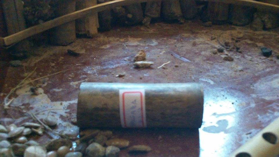 Tela 41 — As Telas de Neimar